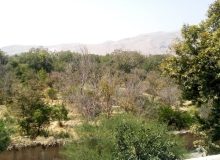 بازدید معاونین و مسئولین شهرداری منطقه یک از روند اجرای پروژه‌های باغ تپه و باغ ناصری