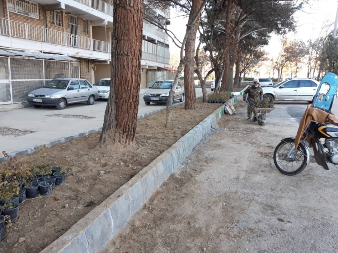 اجرای پروژه‌های بهسازی و ساماندهی شهری در منطقه یک شیراز