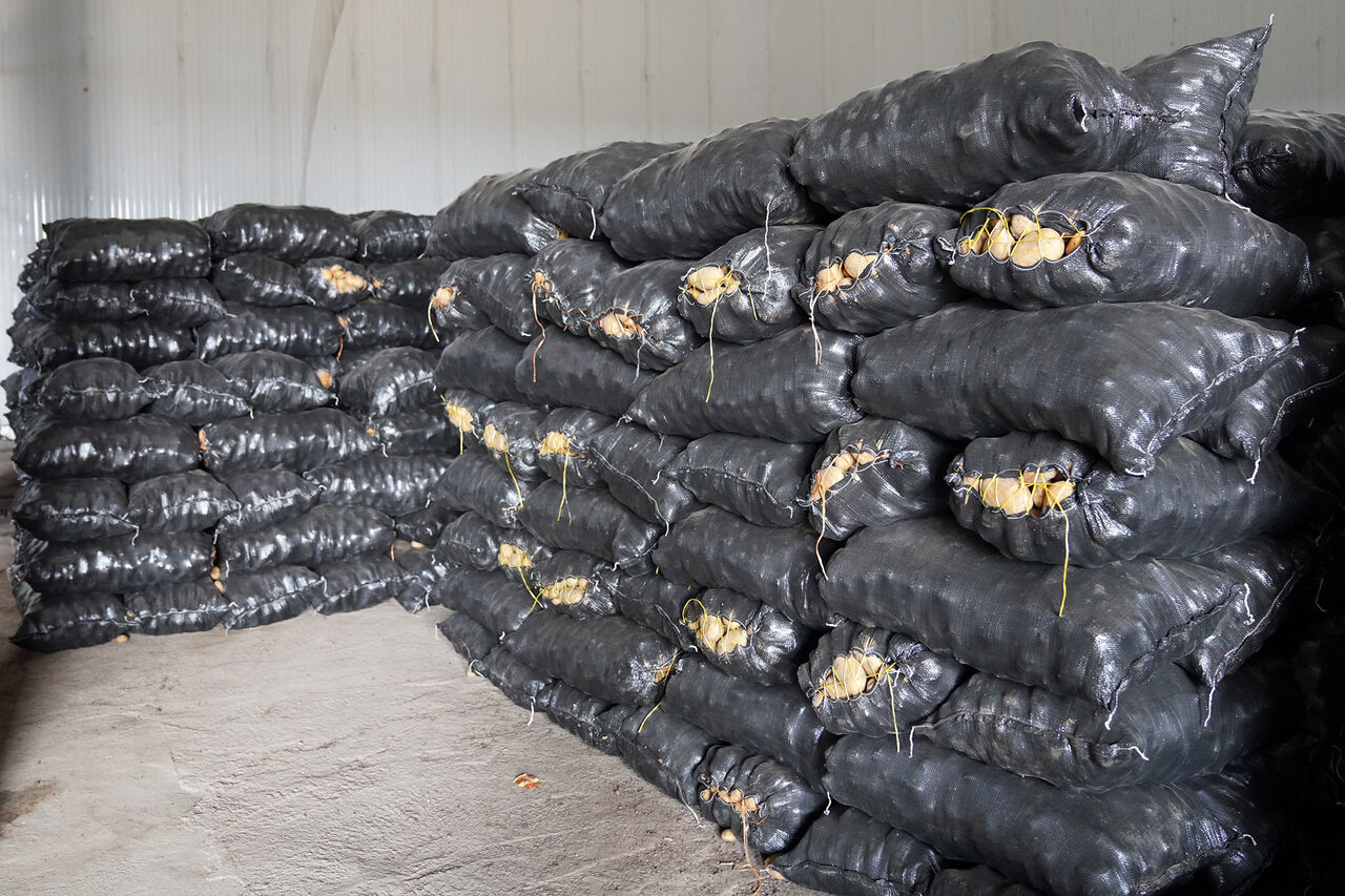 انبارهای احتکار ۹۷۶ میلیاردی سیبزمینی در شیراز لو رفت