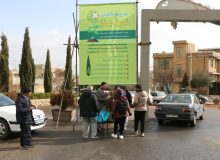 پویش کاشت ۵ میلیون بذر گیاهان بومی در ارتفاعات پیرامونی کلان‌شهر شیراز