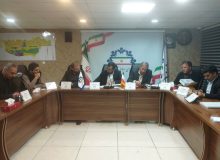 از مزایده غرفه نوروزی تا اصرار بر محاسبه مالیات بر ارزش افزوده شهر صدرا