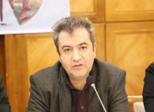 ۳۱۱۷ نوزاد مبتلا به کم‌کاری تیروئید در فارس شناسایی شدند