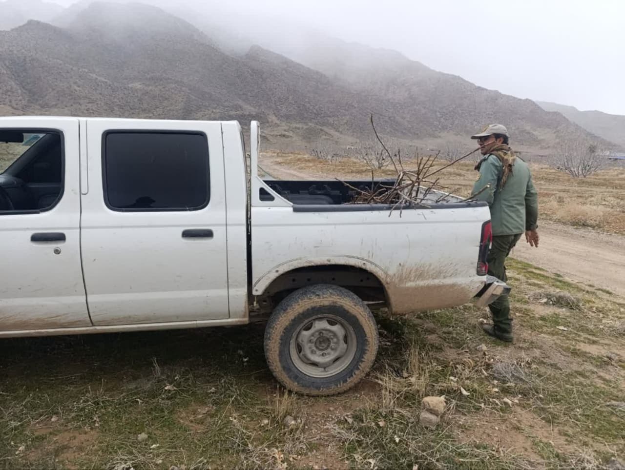 رفع تصرف و قلع و قمع نهال های تازه کاشته در اراضی ملی پناهگاه حیات وحش بختگان