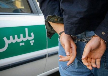 سارقان به عنف سابقه دار توسط پلیس شیراز دستگیر شدند