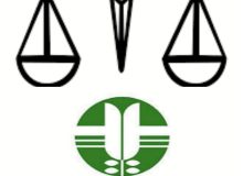 کاشت نهال به جای حبس برای متهمان تخریب منابع طبیعی