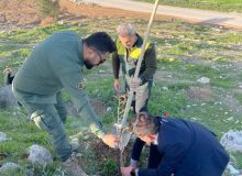 احیای پریشان نیازمند تعامل و همراهی همه نهادها