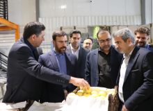 ذخائر میوه شب عید کافی است/ توزیع میوه تنظیم بازار ادامه دارد