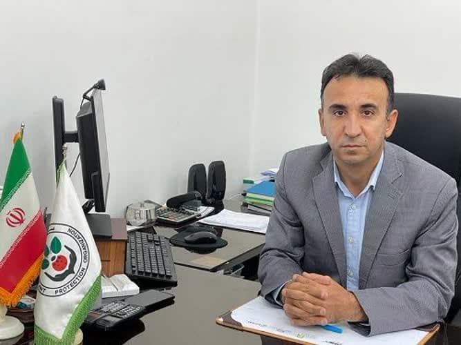 آغاز مبارزه با آفت ملخ مراکشی در استان فارس
