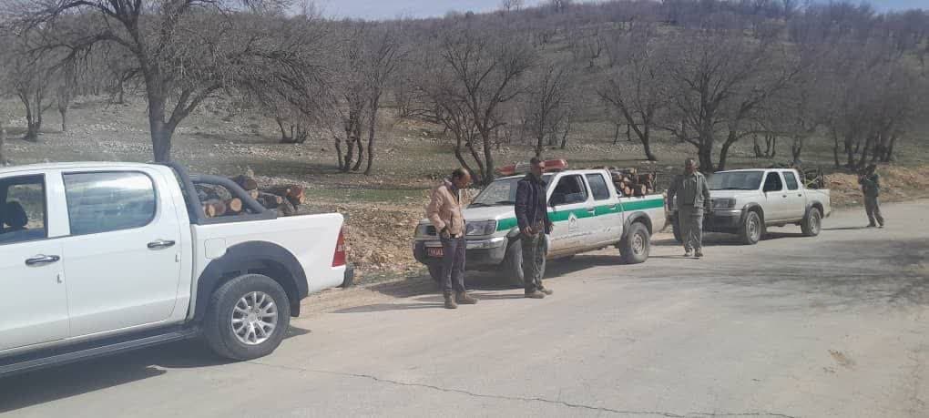 کشف و ضبط ۴۲۰۰ کیلوگرم هیزم جنگلی بلوط در شهرستان شیراز