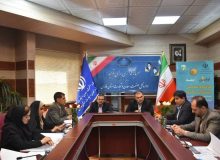 بررسی وضعیت ۲۶ محدوده معدنی مهم فارس
