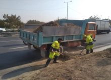 پاکسازی۱۲ هکتار از اراضی روباز در سطح شهرداری منطقه ۹ شیراز