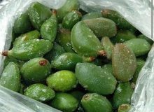 تولید ۲۷ هزار تن چغاله بادام در فارس