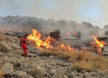 دو آتش‌سوزی‌ گسترده در پارک ملی بمو و یک آتش سوزی در تنگ بستانک مهار شد