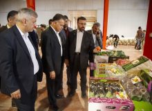 مسئولیت‌پذیری و عملکرد مطلوب واحدهای تولیدی در یازده‌روز گذشته