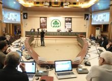 ارائه نخستین گزارش فصلی تدوین طرح جامع مدیریت بحران کلانشهر شیراز در صحن شورای شهر