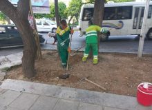 گام بلند شهرداری منطقه یک در احیای فضای سبز بلوار زند