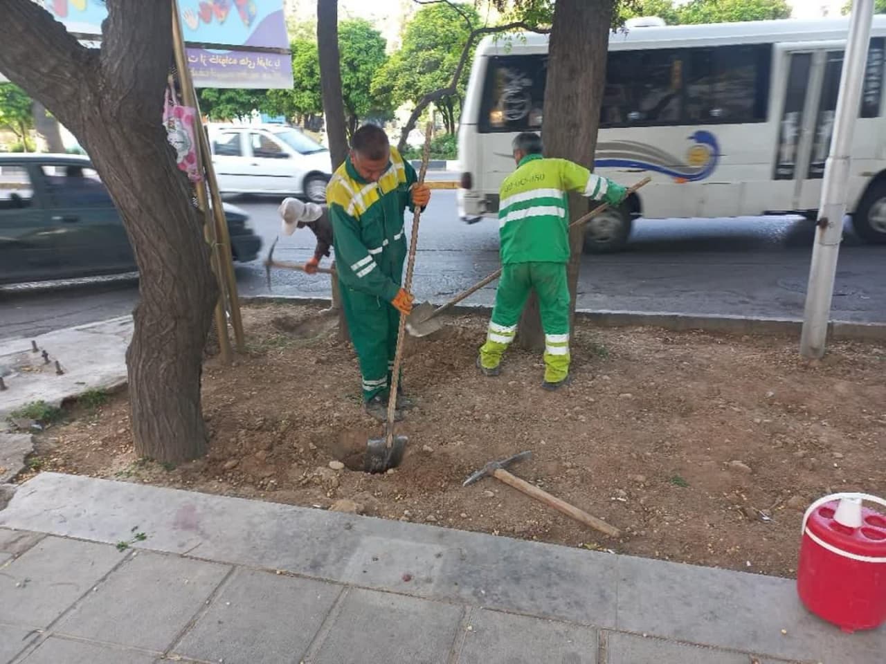 گام بلند شهرداری منطقه یک در احیای فضای سبز بلوار زند