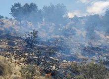 ۹۵ درصد از آتش سوزی‌های مناطق بحرانی فارس عمدی است