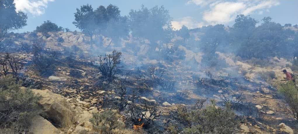 ۹۵ درصد از آتش سوزیهای مناطق بحرانی فارس عمدی است