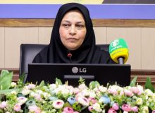 اجرای برنامه عملیاتی رفع مشکلات زیست محیطی شهرستان ها برای اولین بار در فارس