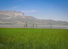 سند تک برگ تالاب ارژن در استان فارس صادر شد