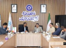 توسعه کتابخانه‌ها و تکمیل پروژه‌های قیروکارزین شتاب می‌گیرد