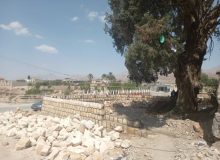 اجرای طرح حفاظتی از درخت تاریخی سرو مسجد کهنه روستای کراده شهرستان خفر