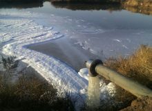 دو واحد صنعتی تولید نشاسته در حاشیه رودخانه چنار راهدار شیراز پلمب و تعطیل شدند