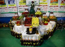 شهرستان سپیدان جایگاه خود را در عرصه صادرات سیب تثبیت کند