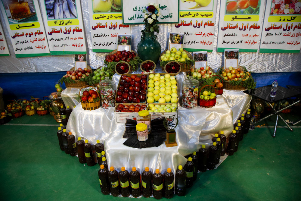 شهرستان سپیدان جایگاه خود را در عرصه صادرات سیب تثبیت کند