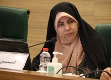 نعره‌های انحرافی در شورا محصول یک جریان تخریب سازمان‌یافته است