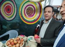 گردشگری کشاورزی یکی از محورهای سند گردشگری فارس است