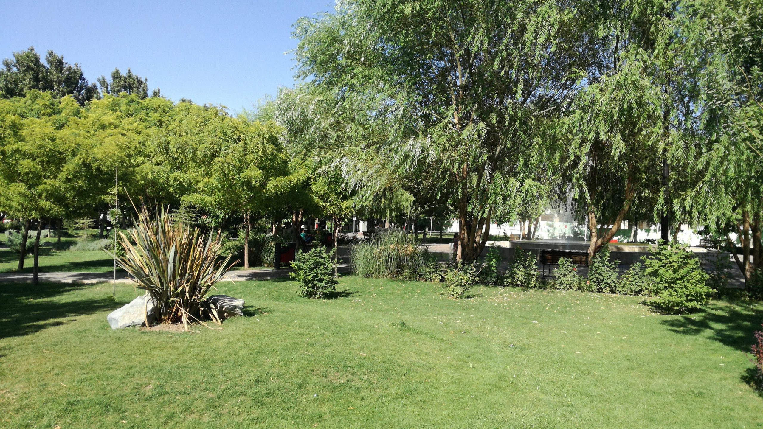 پارک جنگلی شهدای شهرستان لار ۱۵سال به شهرداری واگذار شد