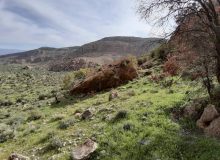 پناهگاه حیات وحش بختگان با نصب تابلوهای جدید، ساماندهی شد