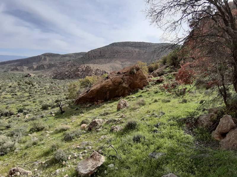 پناهگاه حیات وحش بختگان با نصب تابلوهای جدید، ساماندهی شد