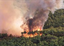 فارس به یاری جنگل های هیرکانی رفت؛ حضور ۲۳ نیروی مردمی از فارس برای مهار آتش جنگل های هیرکانی