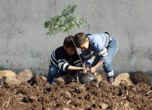 پویش نهال کاری به یاد شهدای دانش آموز در شیراز برگزار شد