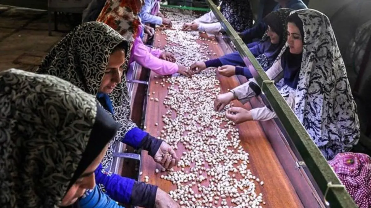 شناسایی ۲هزار کارگاه در فارس برای تقویت اشتغال‌زایی توسط مجمع خیرین