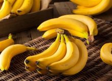 فارس پیشتاز تولید میوه‌های گرمسیری و نیمه‌گرمسیری در کشور