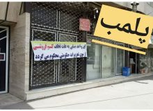 رسیدگی به ۱۱ هزار پرونده تخلف در فارس؛ جریمه ۶ هزار میلیاردی و پلمب ۷۰ واحد صنفی