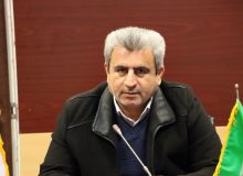 خرید گندم و کلزا در فارس آغاز شد