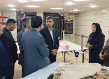 بررسی عملکرد انجمن حمایت از زندانیان فارس با حضور دادستان فارس