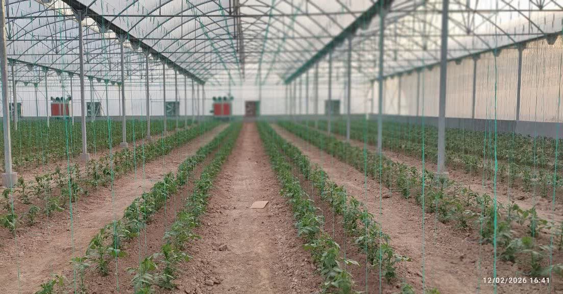 افتتاح و کلنگ زنی ۱۹ طرح گلخانه ای در فارس