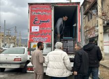 آغاز توزیع مرغ منجمد دولتی در فارس با قیمت ۲۵۵ هزارتومان