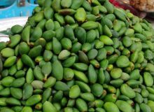 صادرات ۵۵ تن چغاله بادام فارس به کردستان عراق