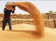 مراکز خرید تعاون روستایی، خط مقدم حمایت از کشاورزان است