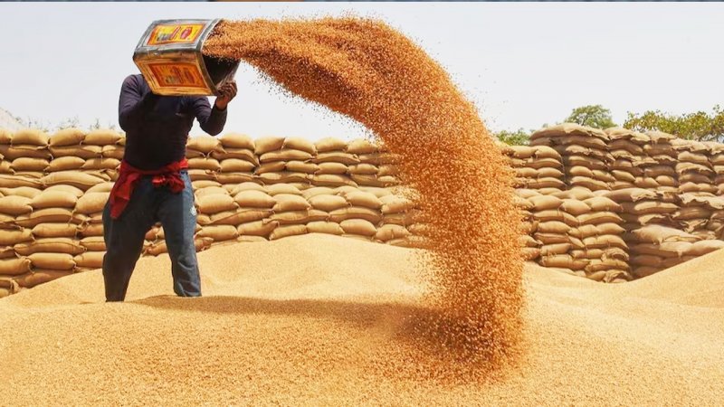 مراکز خرید تعاون روستایی، خط مقدم حمایت از کشاورزان است