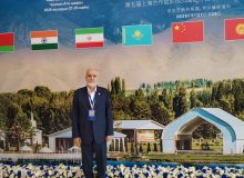 لزوم بازنگری در تعاملات منطقه‌ای برای مقابله با چالش‌های انسانی