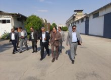 اتخاذ راهکارهای عملیاتی برای رفع چالش‌های بانکی، مالیاتی و توسعه فعالیت‌های دانش‌بنیان زیمنس