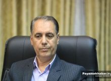 تعامل دستگاه‌ها بهترین راهکار برای حل پرونده‌های تعهدات ارزی است
